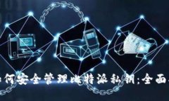 : 如何安全管理比特派私钥：全面指南