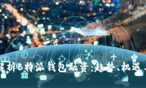 深度解析B特派钱包融资：趋势、机遇与挑战