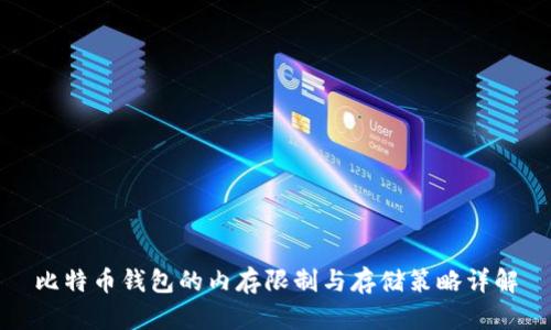 比特币钱包的内存限制与存储策略详解