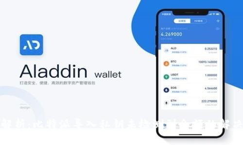 彻底解析：比特派导入私钥未检测到余额的解决方案