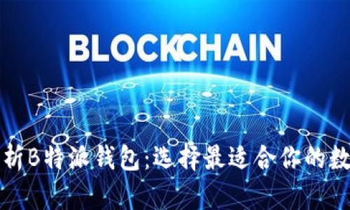 全面解析B特派钱包：选择最适合你的数字钱包
