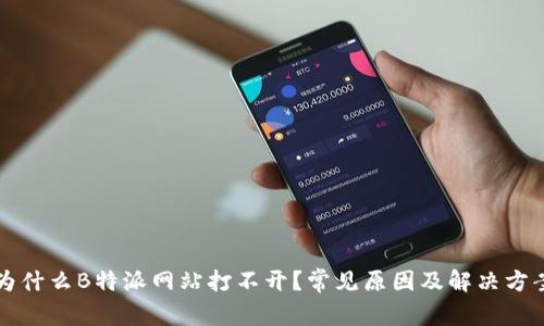为什么B特派网站打不开?常见原因及解决方案