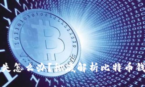 比特币钱包丢失怎么办?彻底解析比特币钱包恢复与安全