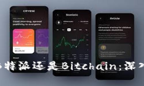 选择B特派还是Bitchain:深入解析