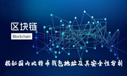 揭秘国内比特币钱包地址及其安全性分析