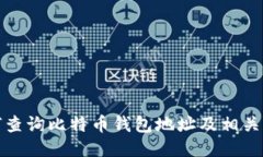 如何查询比特币钱包地址及相关信息