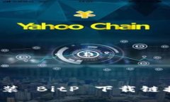 如何正确安装 BitP 下载链接的安装包？