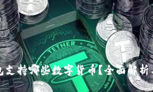 BitP钱包支持哪些数字货币?全面解析与优缺点
