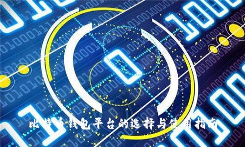 比特币钱包平台的选择与使用指南