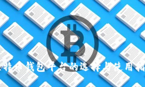 比特币钱包平台的选择与使用指南