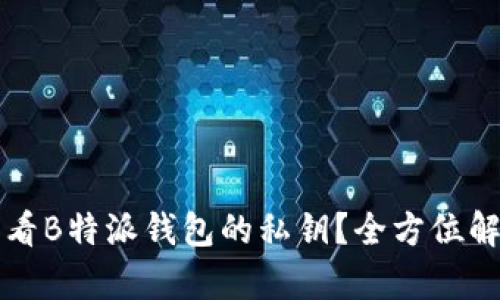 如何查看B特派钱包的私钥?全方位解析指南