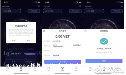 Bitkeep钱包的子币功能解析与使用指南