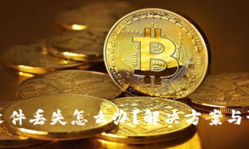 比特币钱包文件丢失怎么办？解决方案与预防措施详解