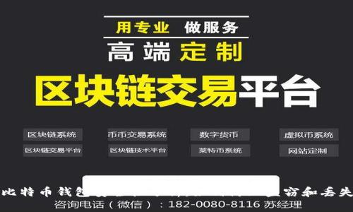比特币钱包安全性分析:如何防止盗窃和丢失