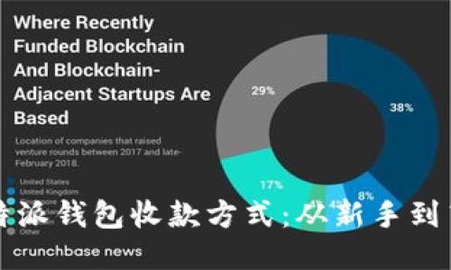 如何正确设置比特派钱包收款方式:从新手到高手的全流程指南