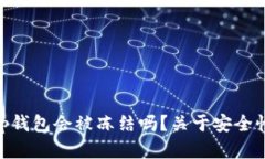 括号bitp钱包会被冻结吗？关于安全性