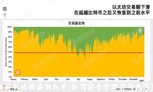 全面解析比特派钥匙串:如何安全管理你的数字资产