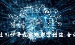 如何通过BitP平台实现财富增值：全方