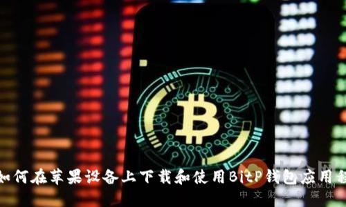 : 如何在苹果设备上下载和使用BitP钱包应用程序