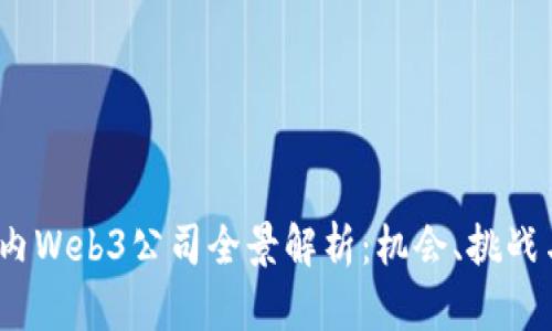 2023年国内Web3公司全景解析：机会、挑战与未来发展