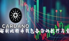 全面解析比特币钱包备份的技巧与重要