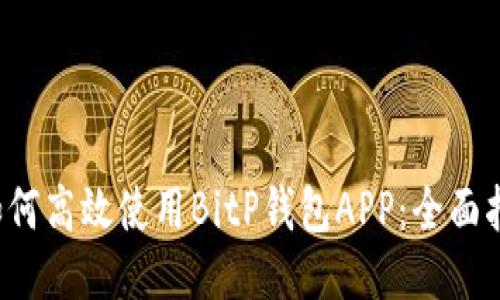 如何高效使用BitP钱包APP:全面指南