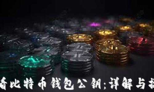 
如何查看比特币钱包公钥：详解与操作指南