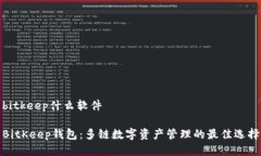 bitkeep什么软件BitKeep钱包：多链数字资