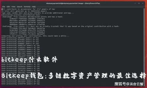 bitkeep什么软件

BitKeep钱包：多链数字资产管理的最佳选择