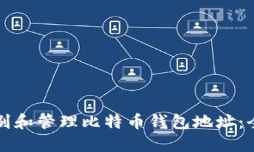 如何识别和管理比特币钱包地址：全面指南