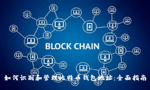 如何识别和管理比特币钱包地址：全面指南