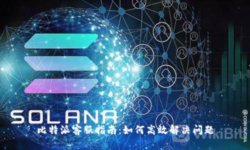 比特派客服指南：如何高效解决问题