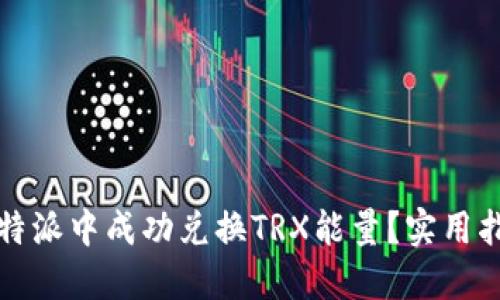 如何在比特派中成功兑换TRX能量？实用指南与技巧
