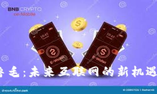Web3鲁毛:未来互联网的新机遇与挑战