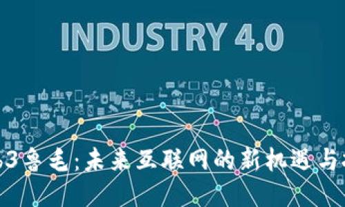 Web3鲁毛:未来互联网的新机遇与挑战