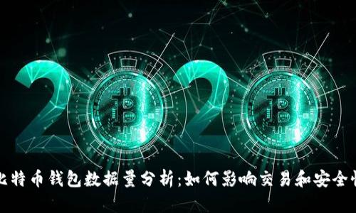 比特币钱包数据量分析:如何影响交易和安全性