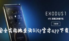 如何安全高效地查询Bitp官方app下载地
