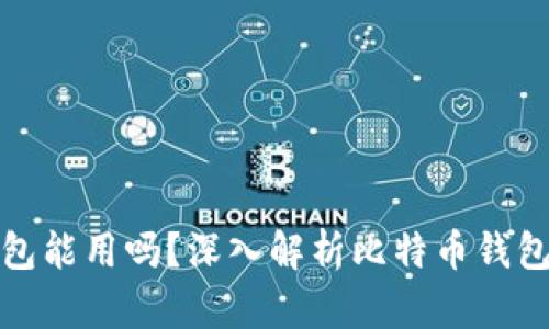 没有私钥的比特币钱包能用吗？深入解析比特币钱包的安全性及使用限制