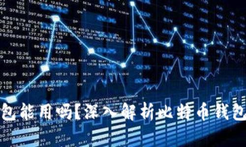 没有私钥的比特币钱包能用吗？深入解析比特币钱包的安全性及使用限制