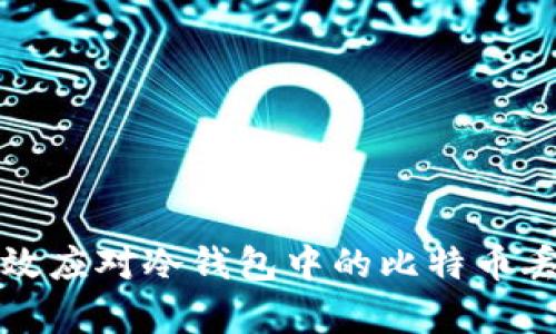 如何有效应对冷钱包中的比特币丢失问题