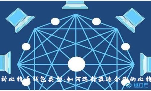 深入解析比特币钱包类型：如何选择最适合你的比特币钱包