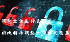 比特币钱包文件是什么格式全面解析比