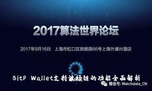 BitP Wallet支持波场链的功能全面解析