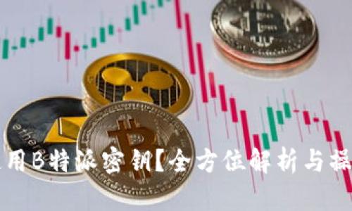 如何使用B特派密钥?全方位解析与操作指南