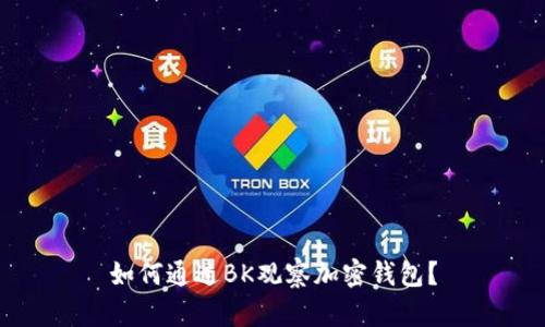 如何通过BK观察加密钱包?