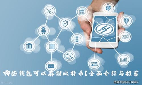 哪些钱包可以存储比特币?全面介绍与推荐