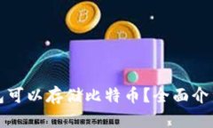哪些钱包可以存储比特币？全面介绍与