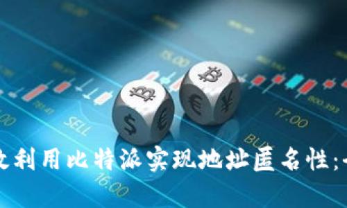 如何有效利用比特派实现地址匿名性：全面指南