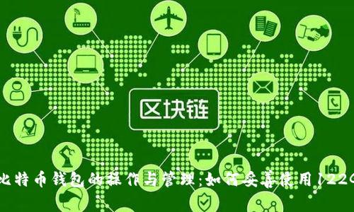 全面解析比特币钱包的操作与管理:如何妥善使用122GB的钱包?