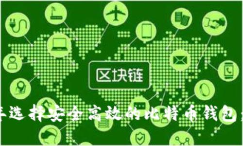 在2023年选择安全高效的比特币钱包：全面指南